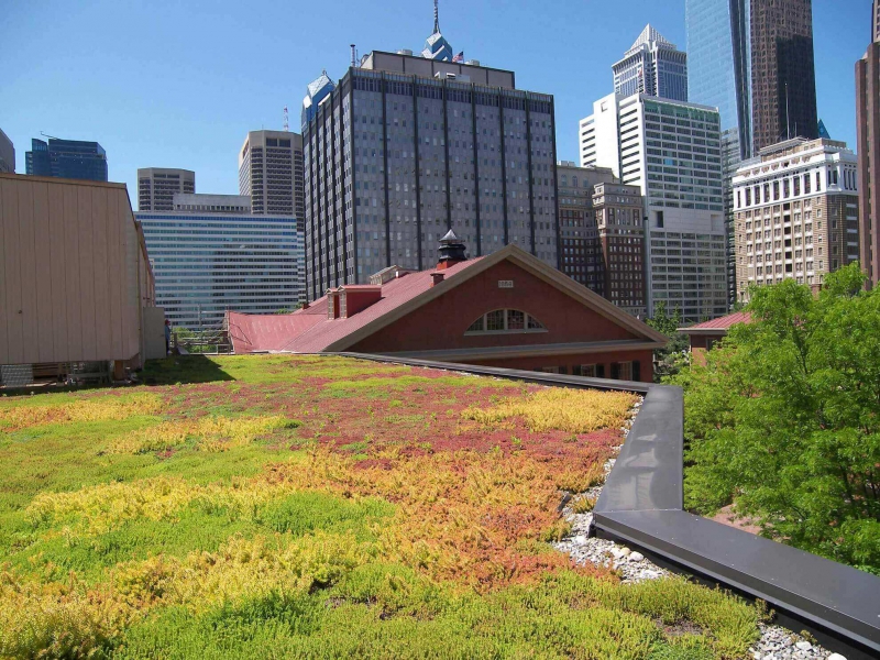 paysagiste-FIGANIERES-min_green-roof-portfolio-4